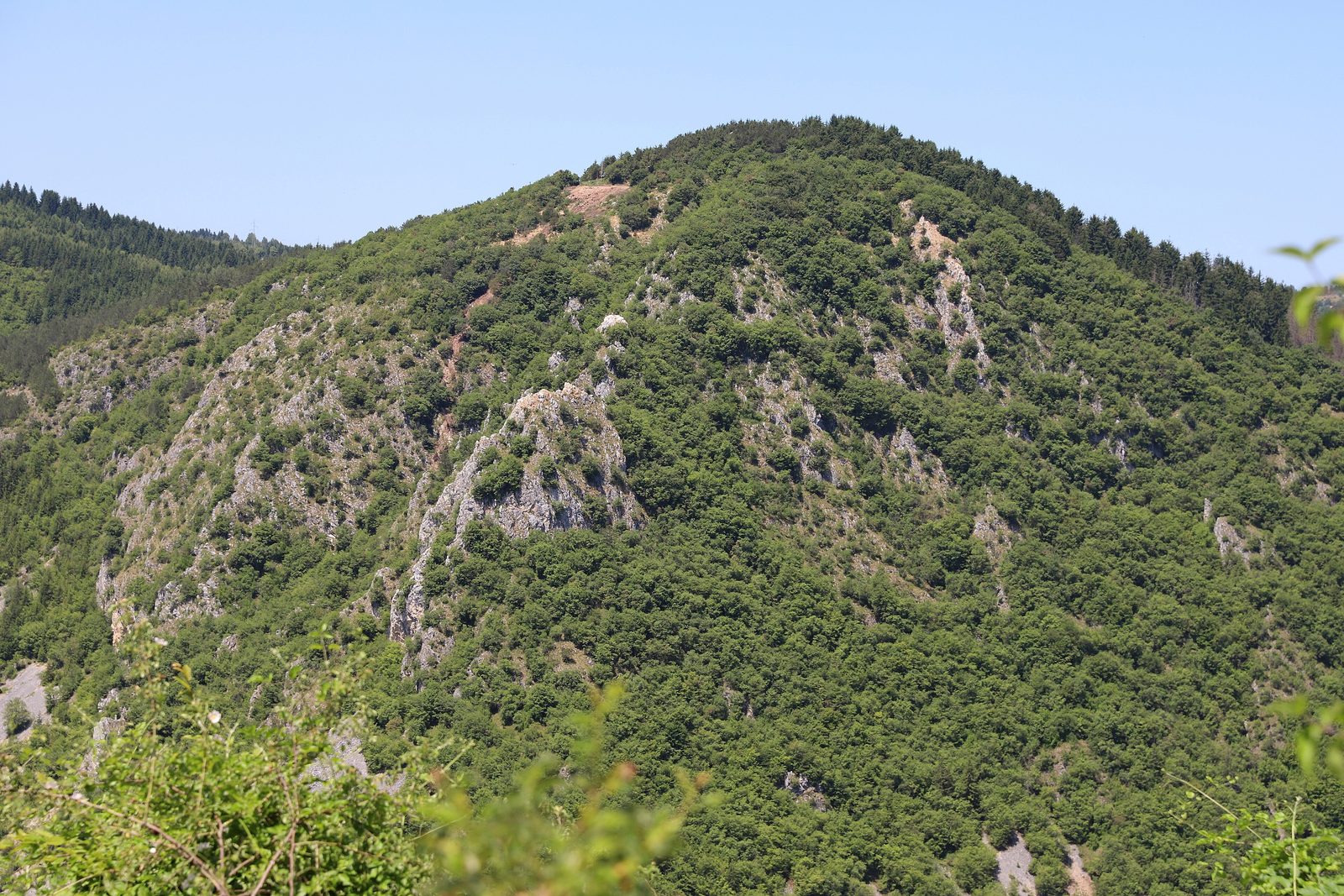 Meanders van de rivier de Uvac